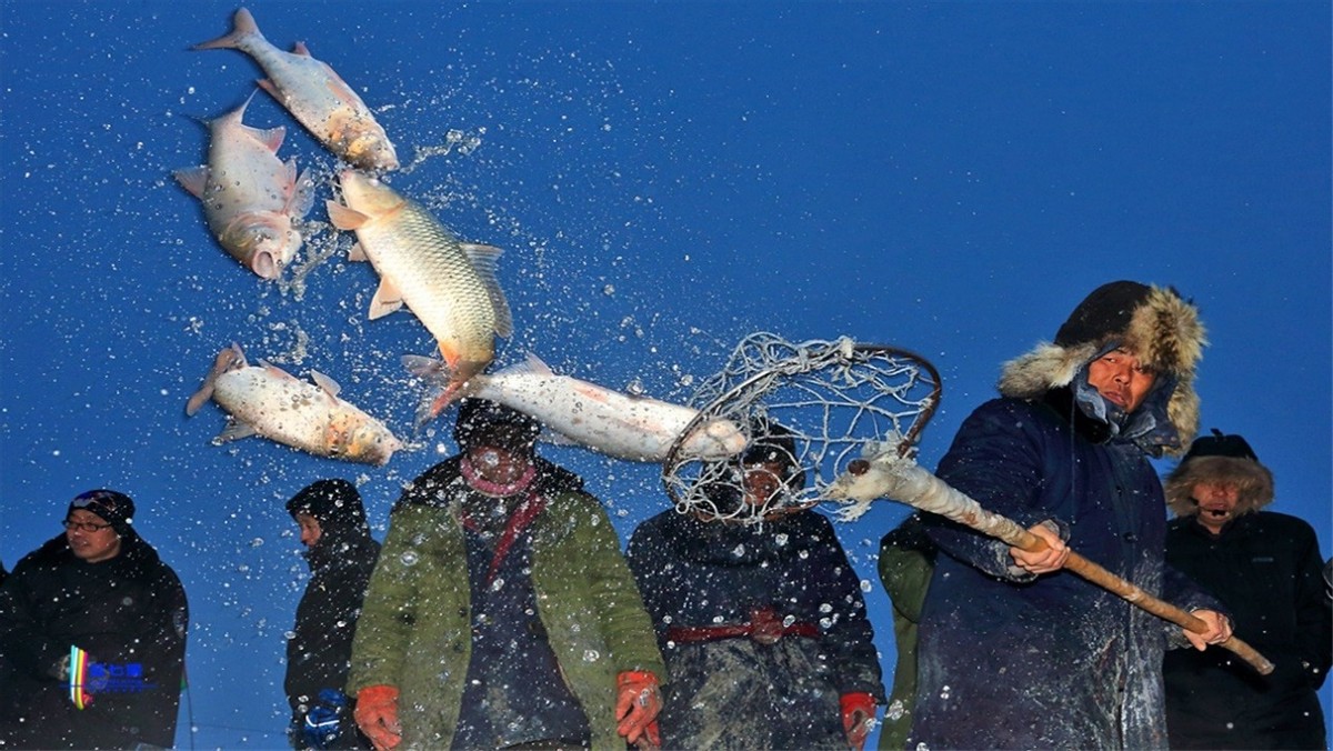 原创一网捞到50万斤鱼166666元起拍头鱼查干湖冬捕有多热闹