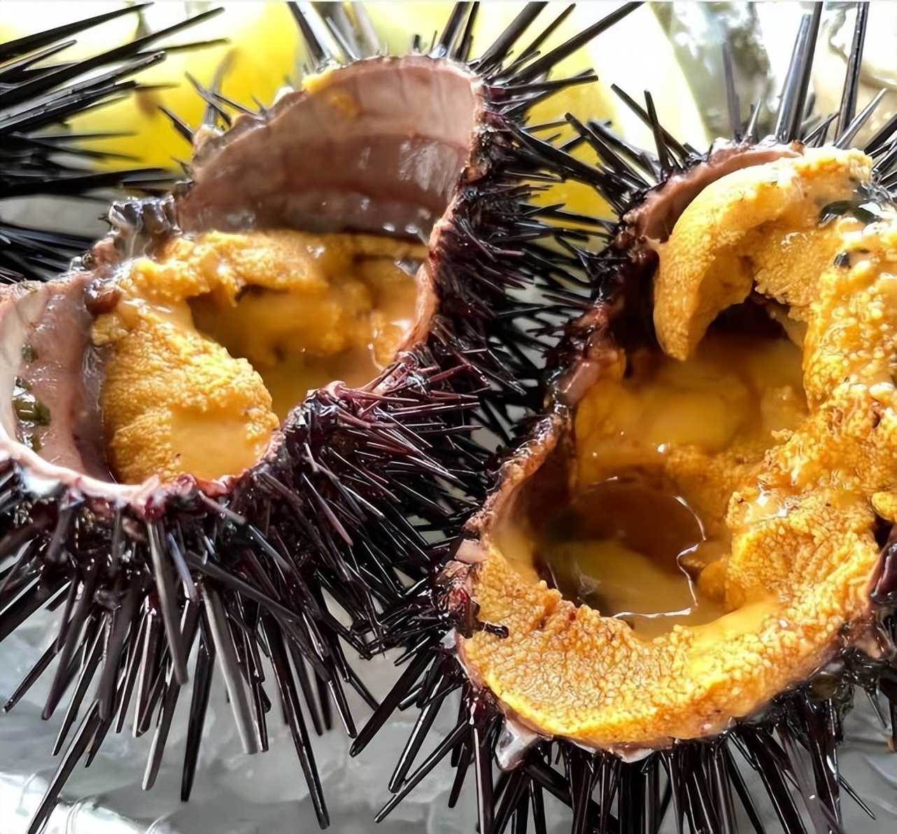 让众人意见分歧的 琼浆玉液 有人说鲜美无穷 有人说腥味很重 海胆 奶油 味道