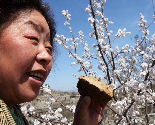 河南农妇"吃土"54年,去医院检查一切正常,嫁人后还回娘家收土_樊千荣