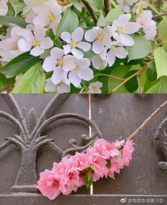 清明小长假别远走市南游计划开启