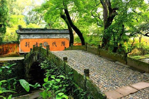 浙江一千年寺庙，拥有最古老的隋梅，游客免费参观