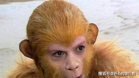 原创孙悟空一出世眼射金光惊动天庭为什么后来就没了原著有提示