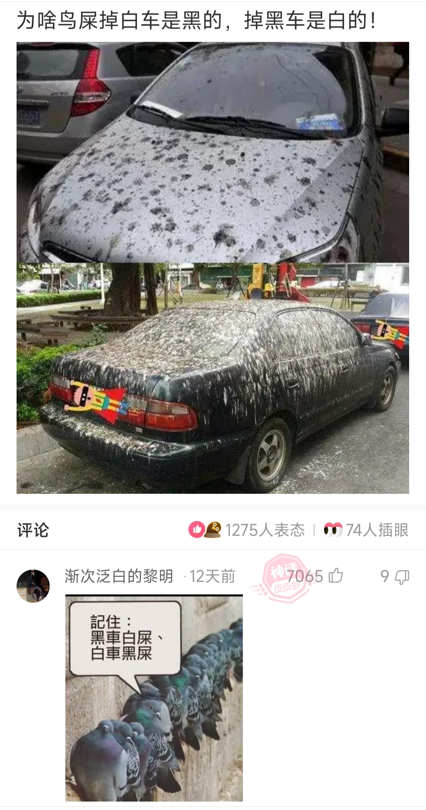 每日一笑为啥鸟屎掉白车是黑的掉黑车是白的