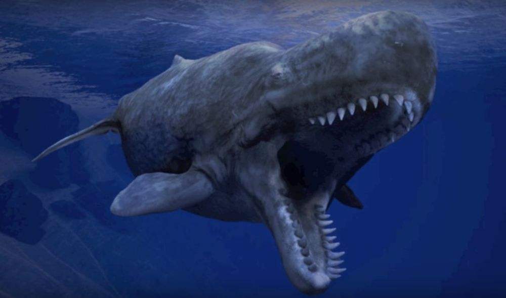 最恐怖的海洋史前巨兽图片