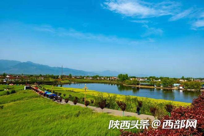 汉中市汉台区油菜花开风光美满目金黄百里香