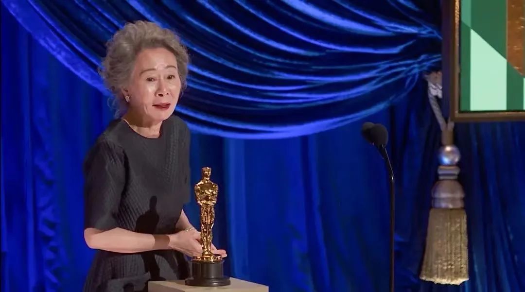 尹汝贞,奥斯卡最佳女配,实打实的韩国老戏骨,再来说演员阵容,最吸引人
