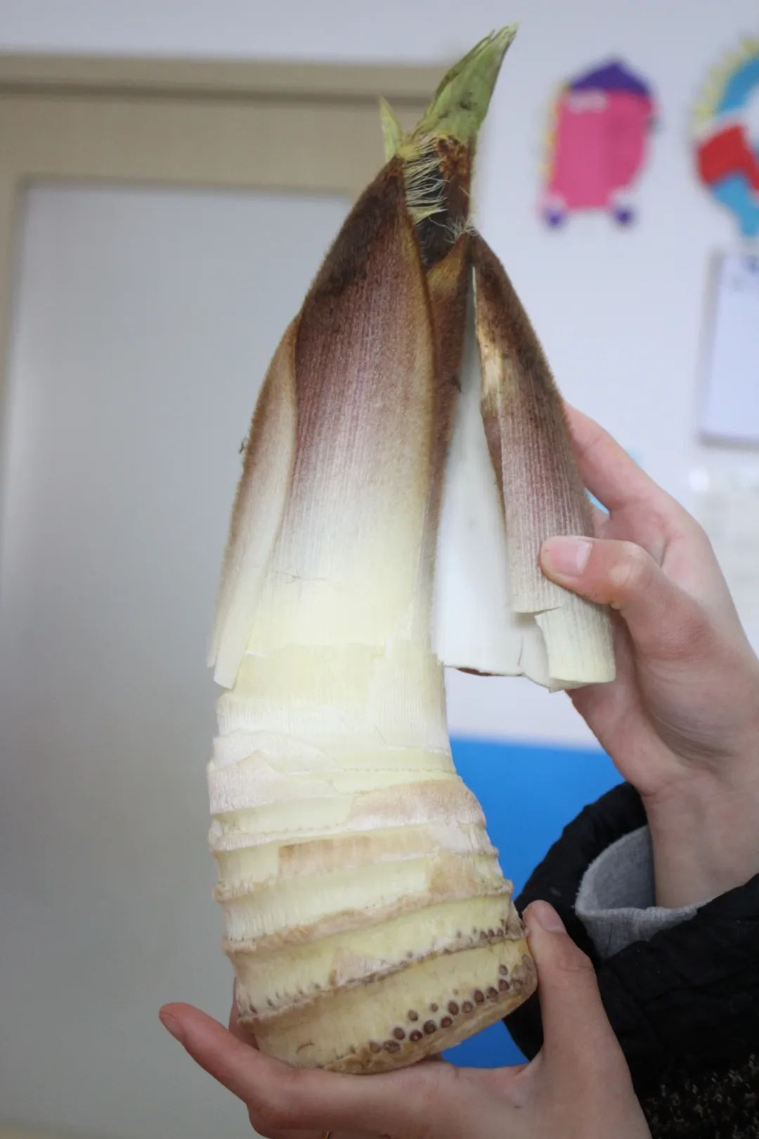 高新区汇爱幼稚园丨小小竹笋毅力大