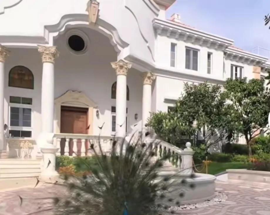 院子里有一个巨大的游泳池 ,供孩子们玩乐专用的 ,别墅占地面积上千