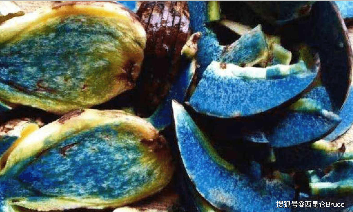 2400元公斤第一波云南野生菌上市当地人称见手青有何神奇