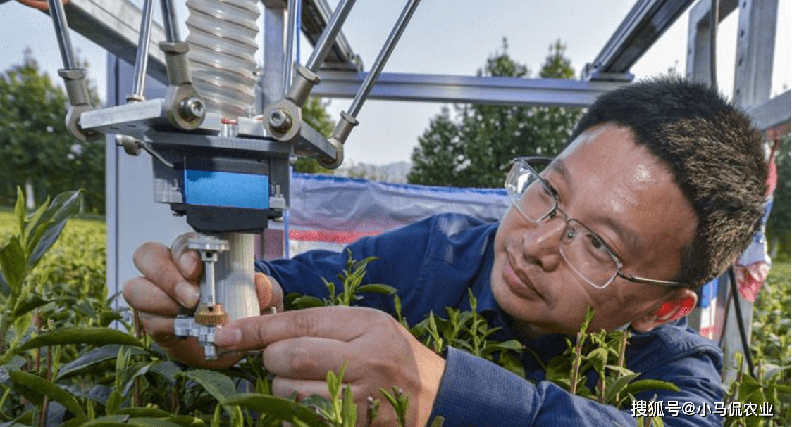 它就是中國農科院茶葉研究所研製的採茶機器人,聽起來是不是很太高大