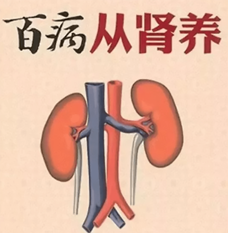 肾精亏虚肾气不足怎么调理三种方法补充肾精亏损让你容光焕发