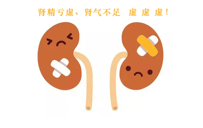 肾精亏虚肾气不足怎么调理三种方法补充肾精亏损让你容光焕发