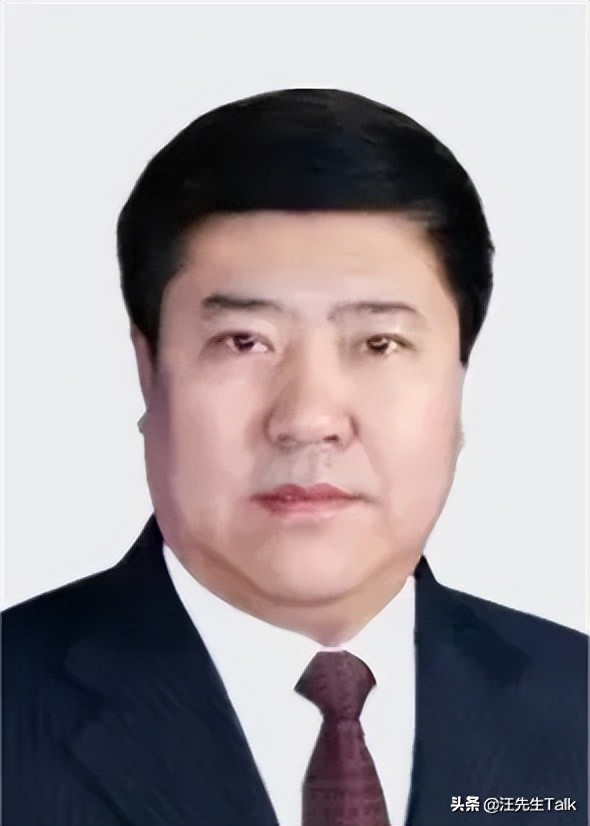 佟伟担任过肇东市委常委,副市长;绥化市北林区区长;海伦市委书记