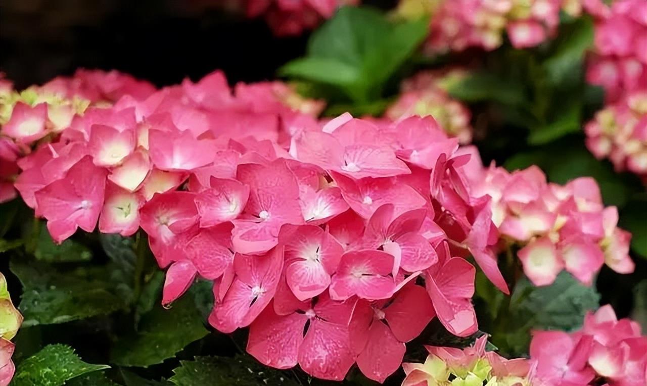 十二星座4月9日运势详解 红榜 事情 生活 方面