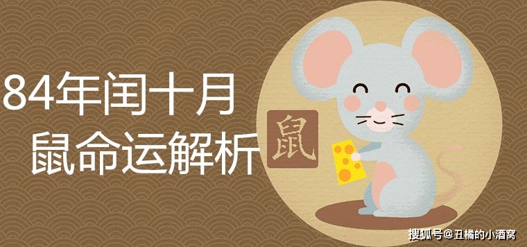 原创84年闰十月鼠命运解析