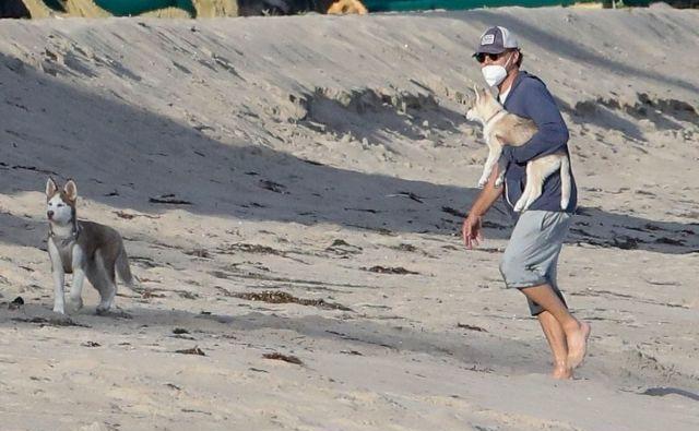 莱昂纳多迪卡普里奥单手抱狗狗,光脚踩沙滩,变大叔也潇洒_样子_灰色