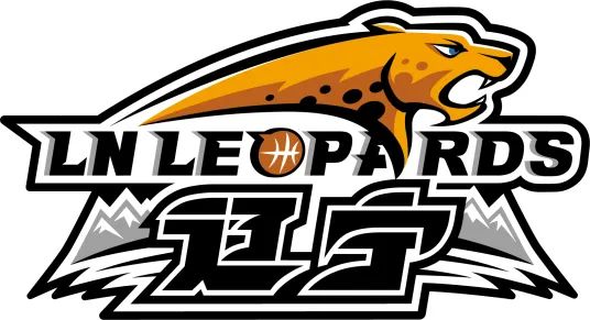 2022年cba20支球队标识谁的更好看