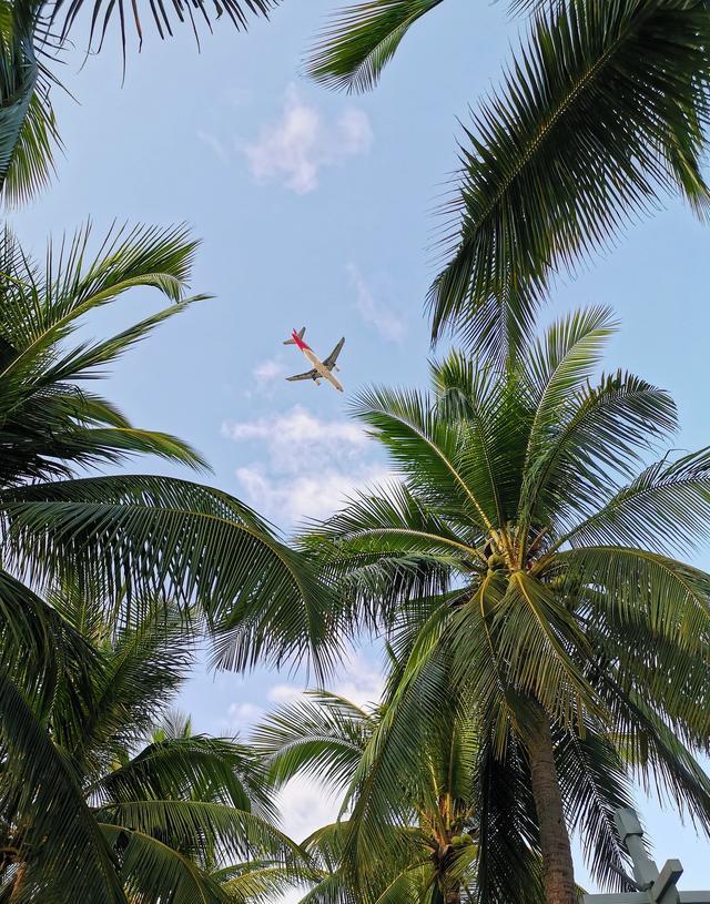 就像恒子奶奶所说:"不要事事都想咬紧牙关挺过去,只要抱着今天这样做