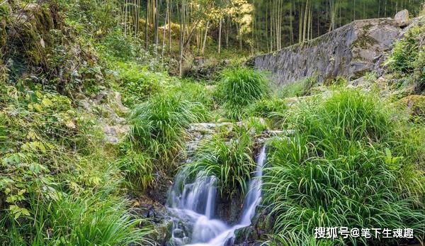 高啟有明代詩人之冠的美譽,一首經典的田園詩,可以和唐詩相媲美_美景_