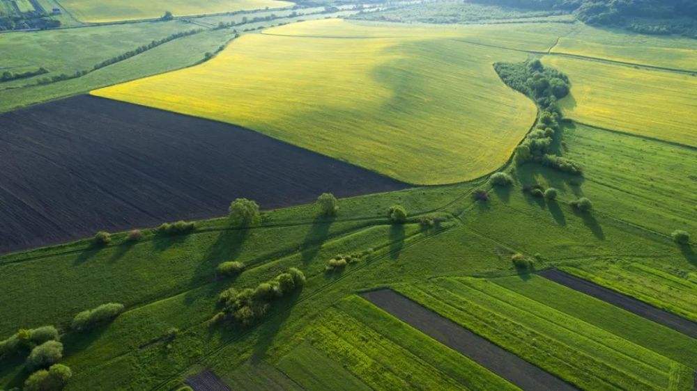 科研农田小气候观测仪介绍_气象_服务_支持