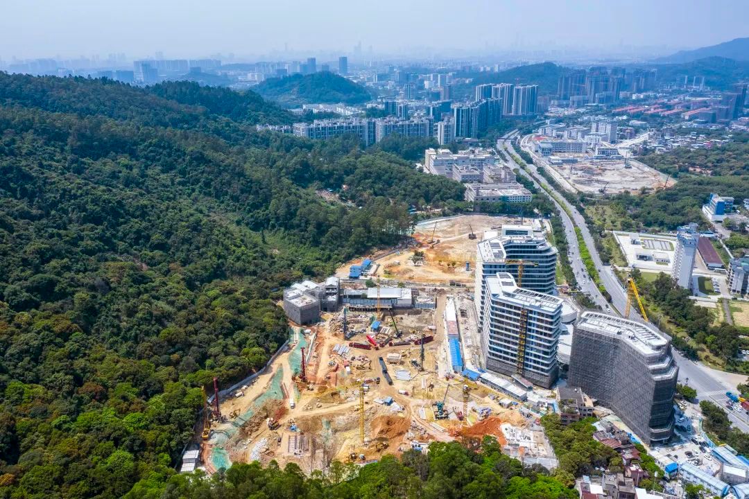 广州东进湾区财富命脉杀出一匹黑马