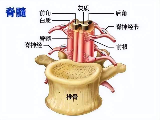 颈椎病是"早期"还是"晚期"?出现这些情况,一定要上医院!