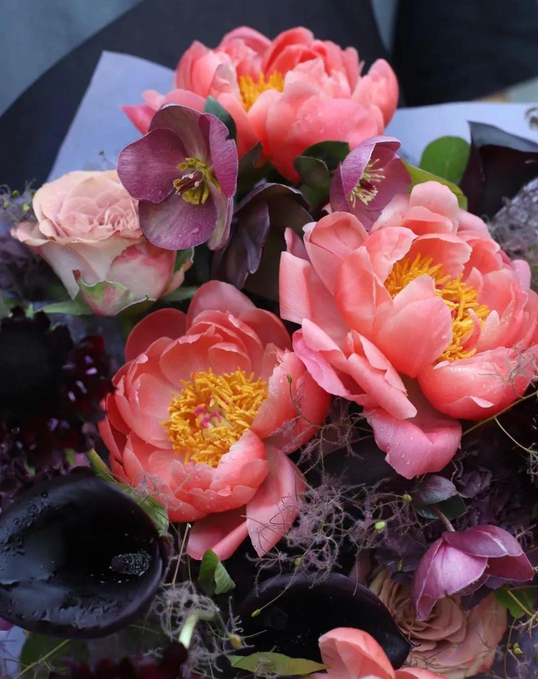 9 - 落日珊瑚芍药,定格落日余晖的绚烂