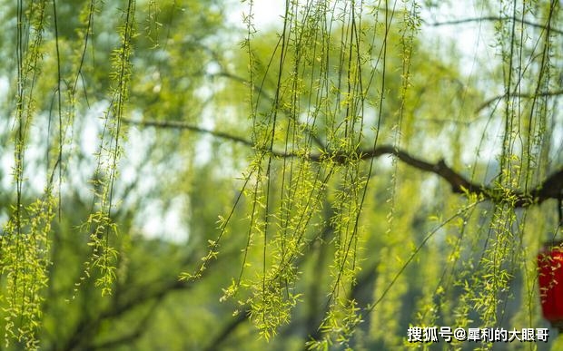 胡令能原本是文盲,卻成為了詩人,還寫出了《詠繡障》這種名篇_屏風_令