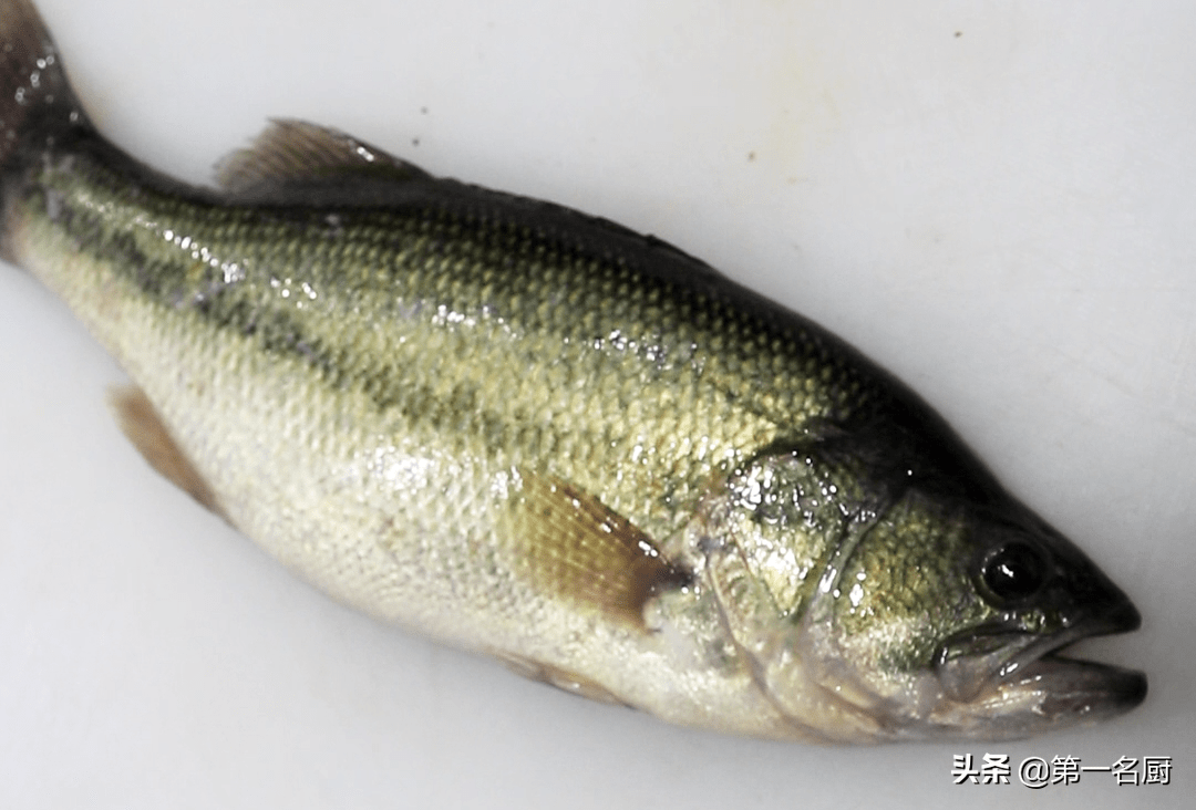 味道差別大,別買錯了_清蒸_淡水魚_海水