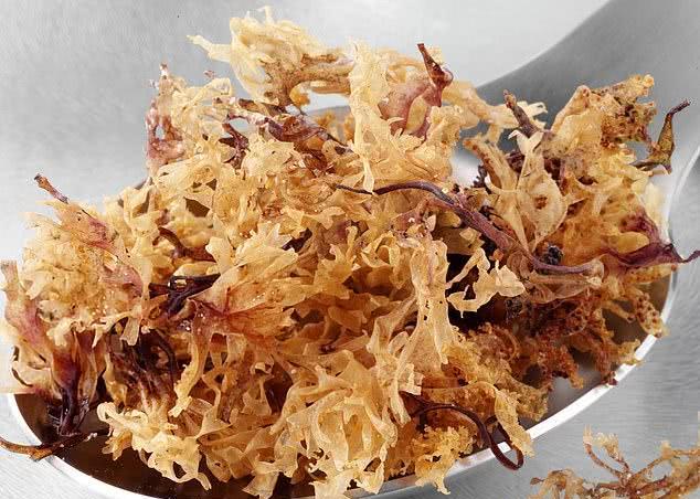 火辣身材食谱,膨化食品上榜,六岁女儿已是素食主义者_食用_网友_海藻