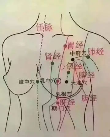 乳房上12条经络位置图图片