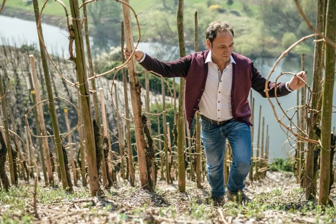 德国摩泽尔名庄鉴赏马库斯莫利托酒庄markusmolitor帕克满分收割机