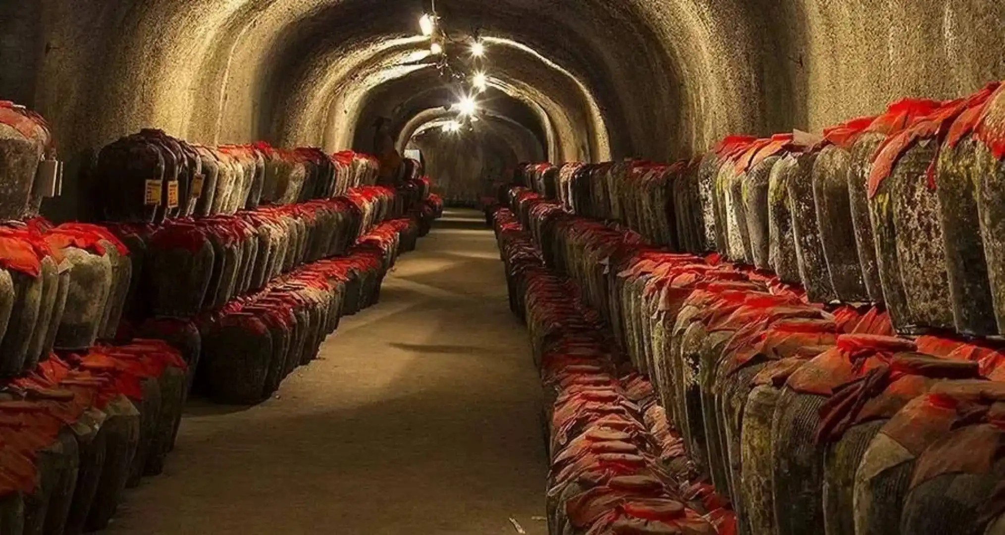 从目标五粮液到负债23亿因做错一个决定他终结了一家百亿企业