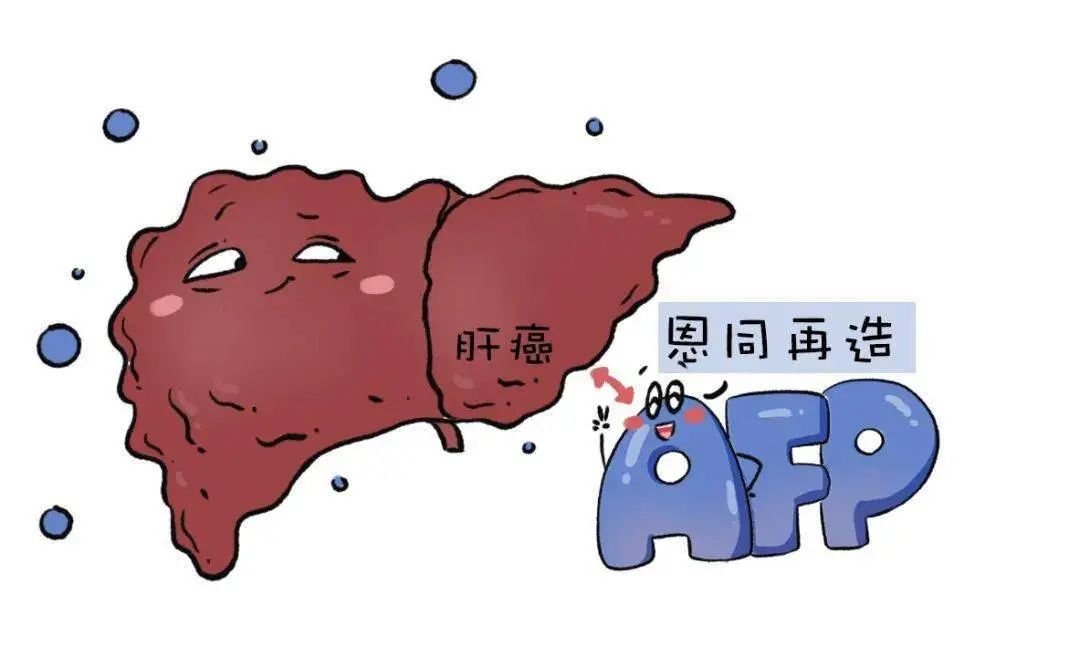 体检发现甲胎蛋白升高是肝癌吗