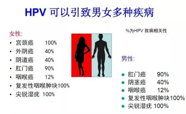 男性也会被hpv感染,引起外生殖器湿疣;也可以导致阴茎,肛周和肛门的癌