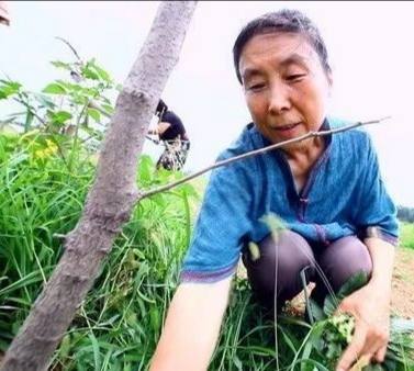 复旦大学女教师于娟癌症去世10年后如今她的家人过得怎么样