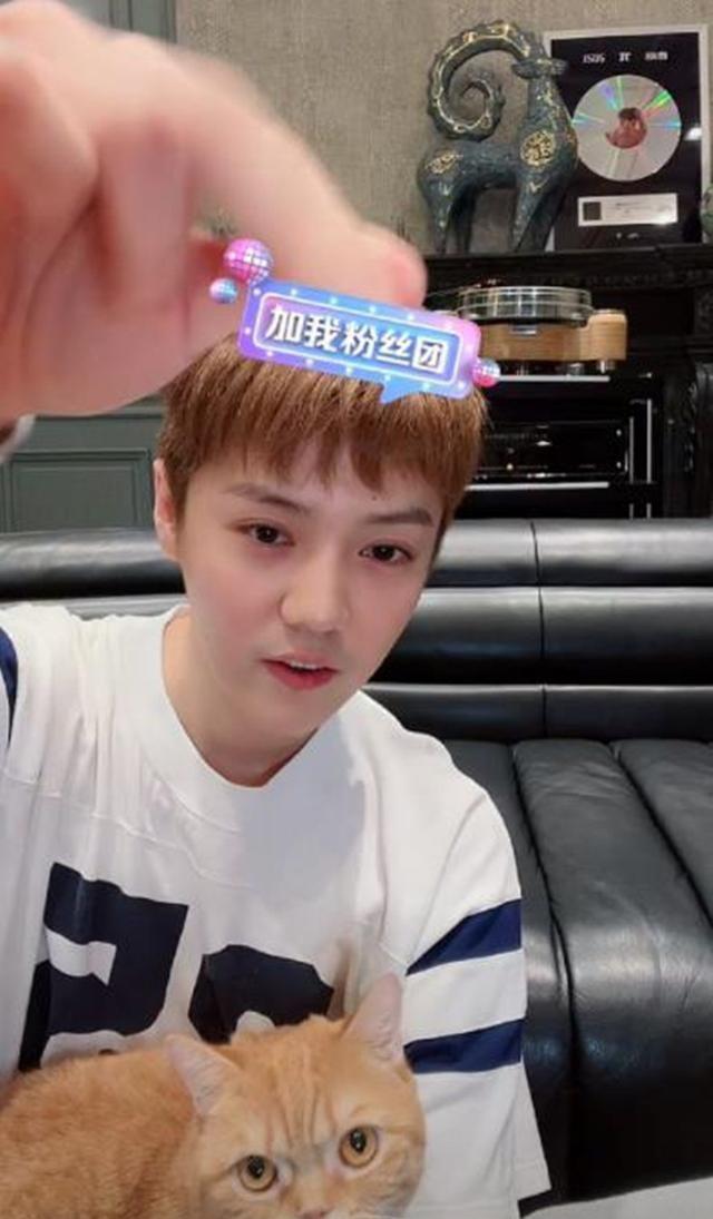 原创关晓彤和鹿晗家的猫咪互动很有爱网友喊话鹿晗不能只晒狗