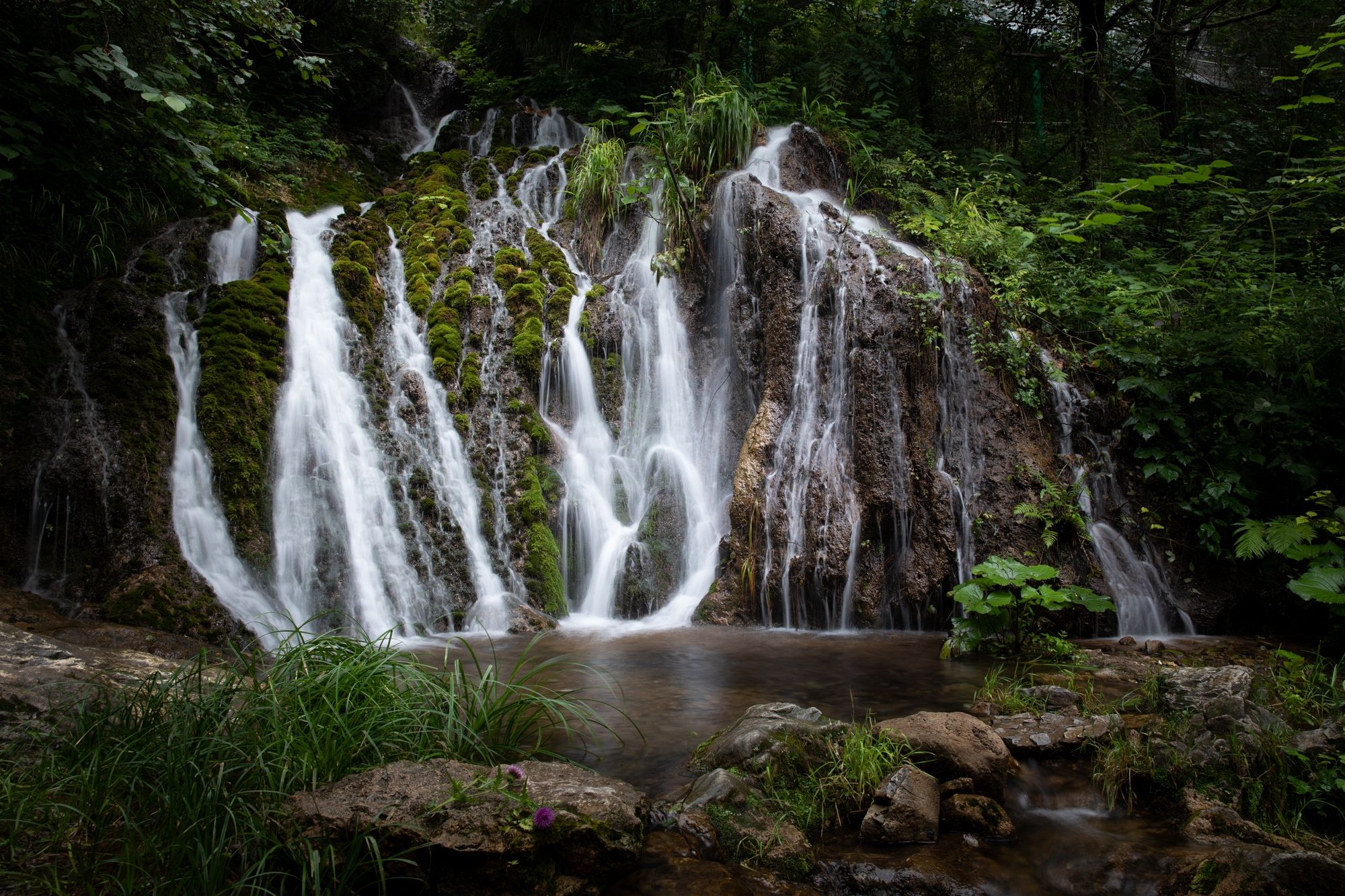 这个景点距洛阳市区仅两小时风光旖旎竹林瀑布公开我的攻略