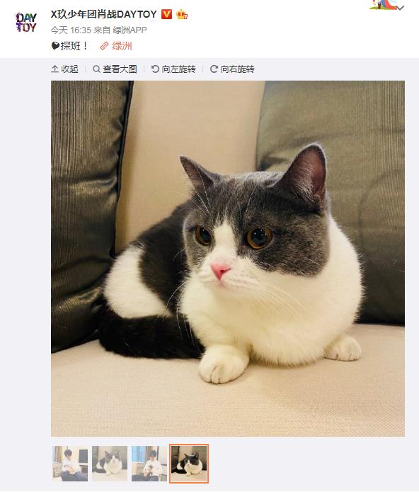 "女儿"坚果亲自探班送毛裤,一对比显得肖战更瘦了_家乡_工作_时候