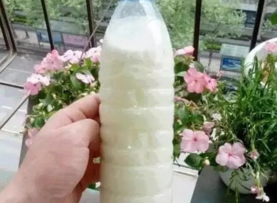 原创自制4种养花营养液半个月浇一次花儿长得茂盛开花多