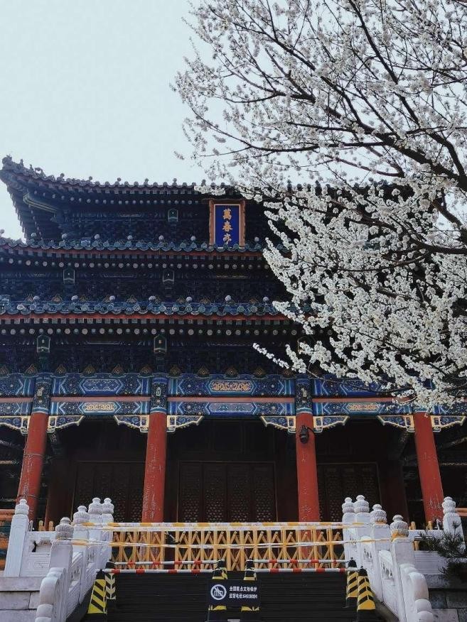 京城采风丨景山公园寻中轴线最高点——"京城揽胜第一处"_皇家_北京