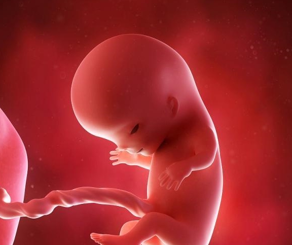 孕妇吃核桃利于胎儿大脑发育，你知道什么时候吃最好呢？