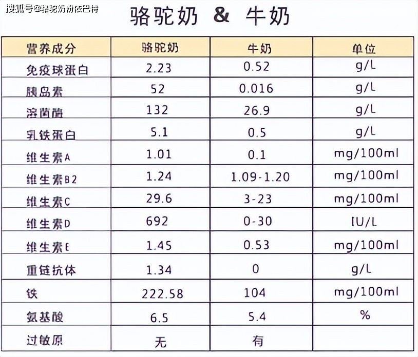 驼奶营养优于牛奶