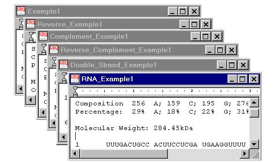 DNAMAN | 分子生物学应用软件插图6