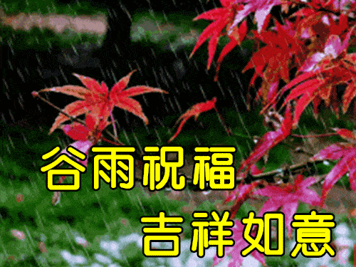 原创4月20日谷雨最漂亮早上好动态表情图片大全早晨好动图美图大全