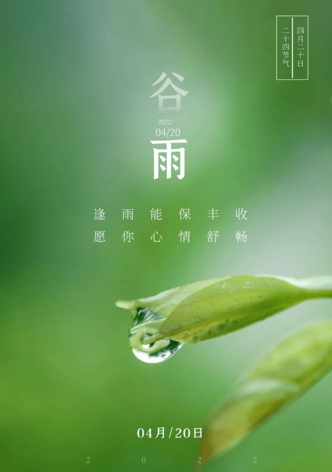 原创谷雨最漂亮早上好动态表情图合集2022最新谷雨早晨好动图语录大全