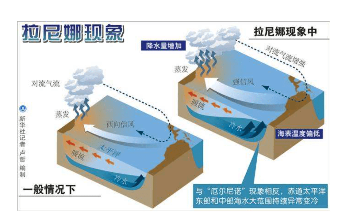 拉尼娜现象手抄报简单图片