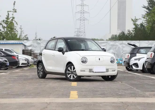 微型电动汽车品牌排行_图观车市|3月新能源上险排行榜点评