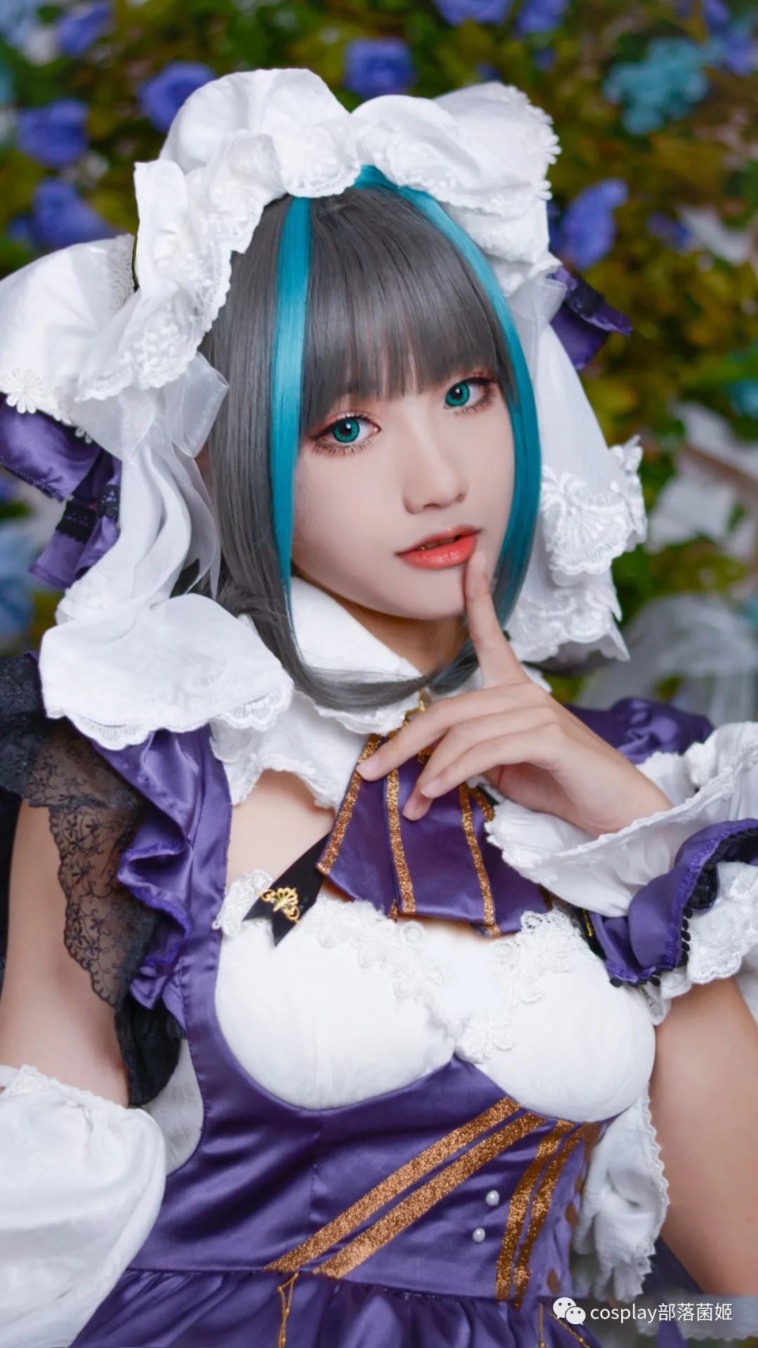 cos碧蓝航线柴郡cos正片梅花不许叫人家猫猫