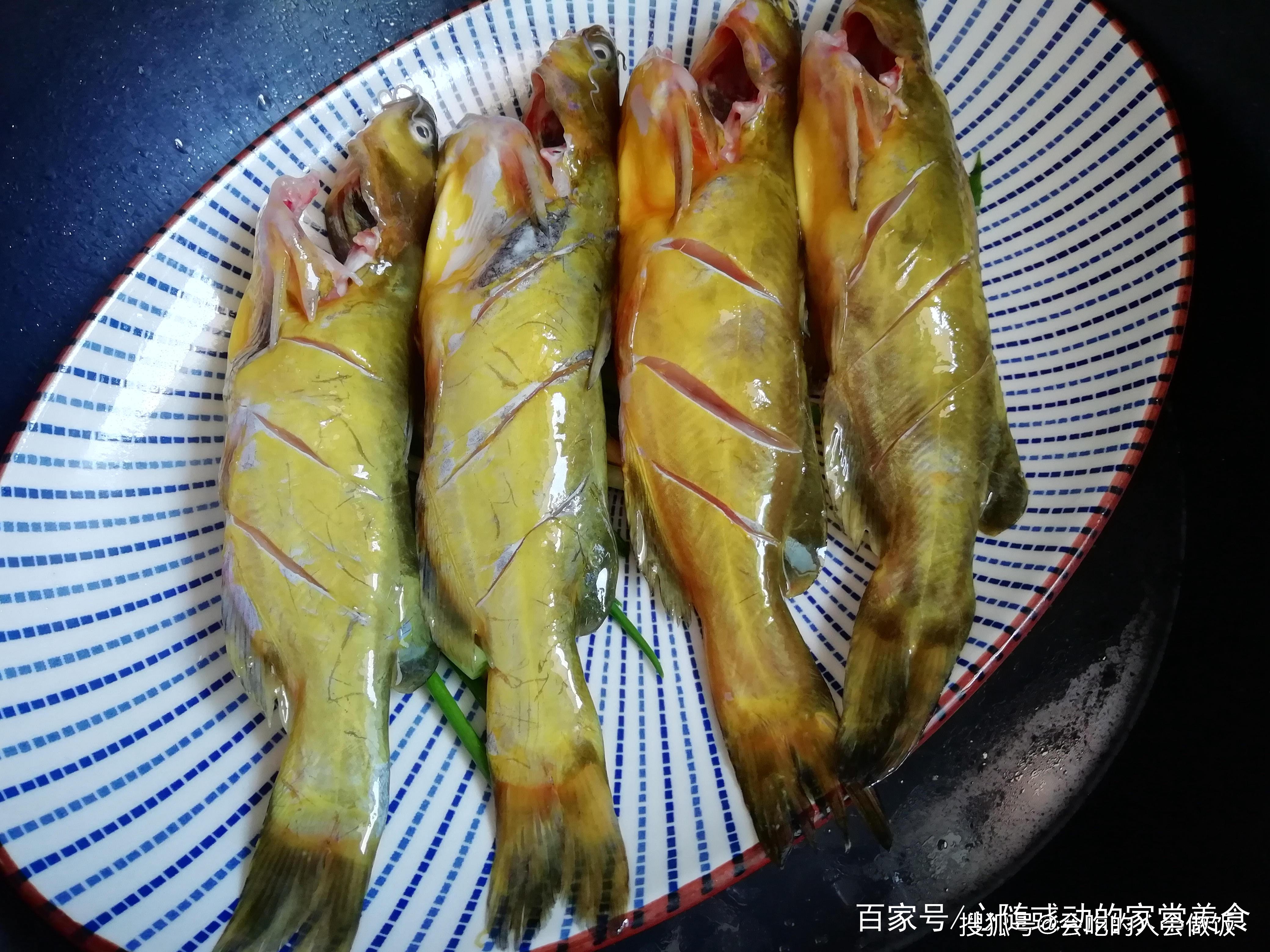 榄角蒸黄骨鱼图片